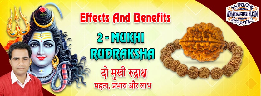 Strengths, Benefits and Importance of Do Mukhi Rudraksha (2-Two Face Rudraksha) By Acharya V Shastri